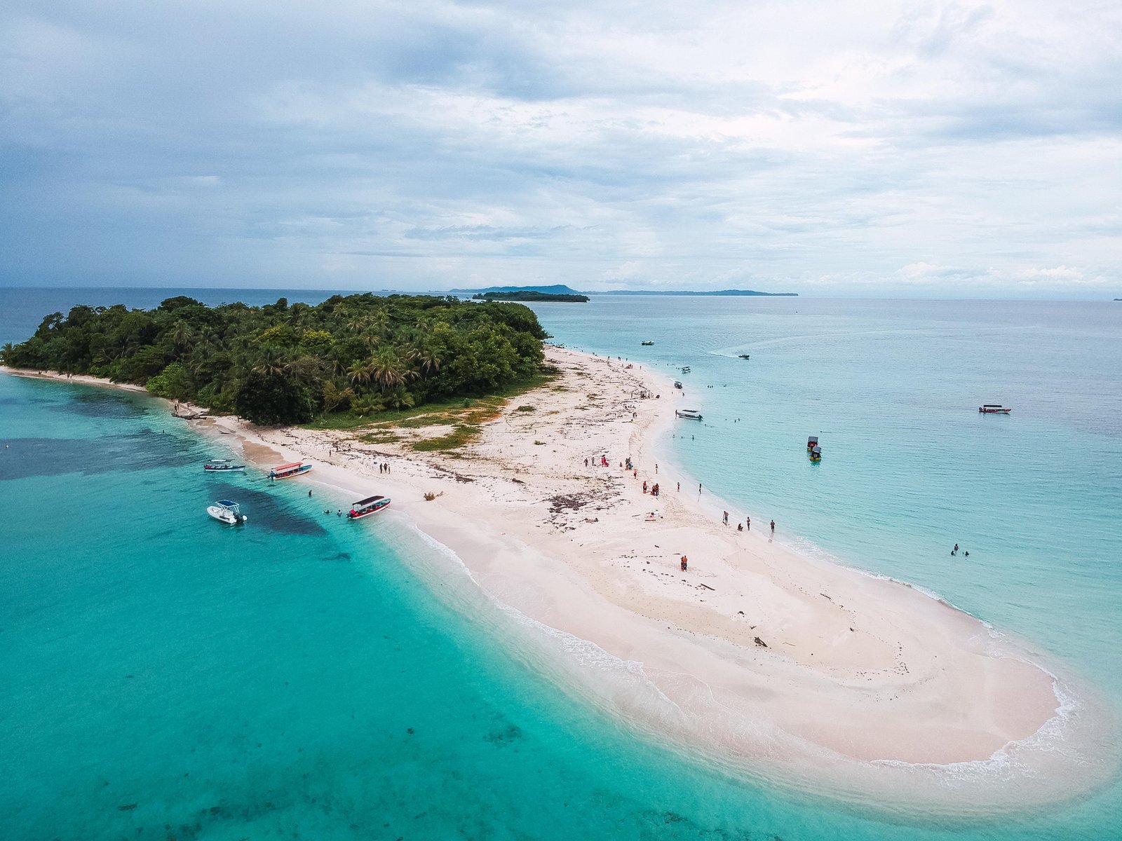 Jungle sandbar