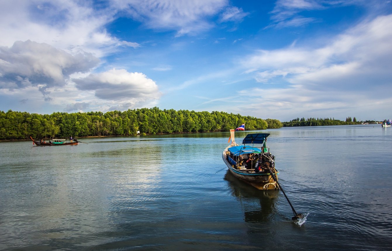 Mangrove waterway