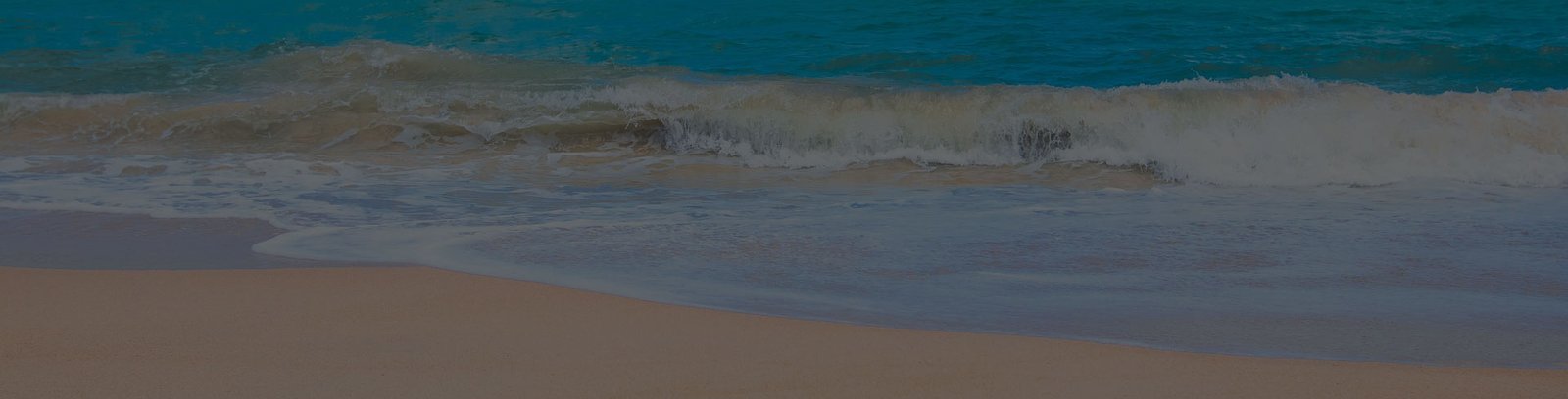 Shoreline foam
